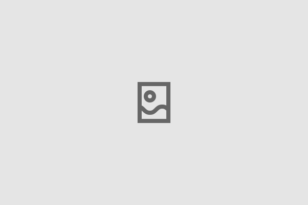 galleryImg